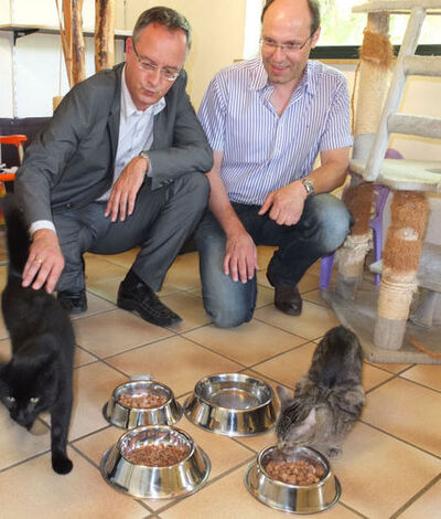 Andreas Stoch und Stefan Hitzler (re) in der Katzenstation